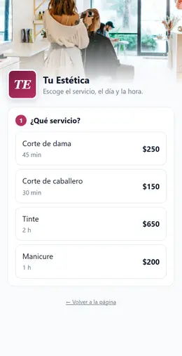 Online booking on a phone